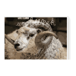 Shetland Wool Week 2023